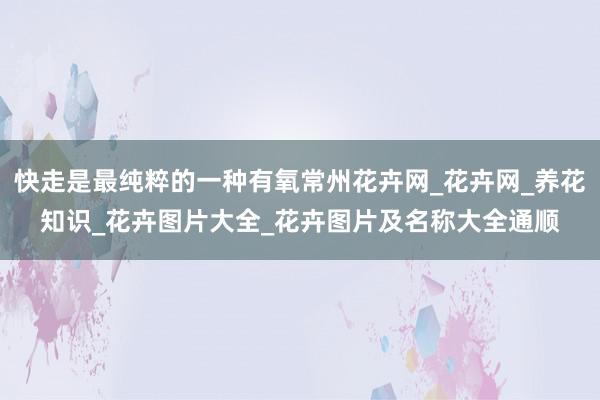 快走是最纯粹的一种有氧常州花卉网_花卉网_养花知识_花卉图片大全_花卉图片及名称大全通顺