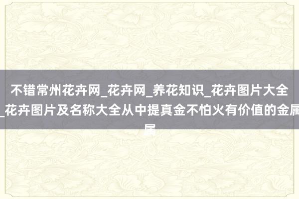 不错常州花卉网_花卉网_养花知识_花卉图片大全_花卉图片及名称大全从中提真金不怕火有价值的金属