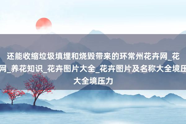 还能收缩垃圾填埋和烧毁带来的环常州花卉网_花卉网_养花知识_花卉图片大全_花卉图片及名称大全境压力